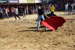 DSC_0240-Mediana