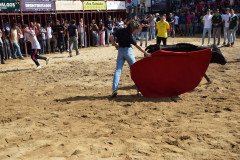 DSC_0241-Mediana