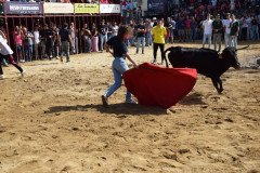 DSC_0242-Mediana
