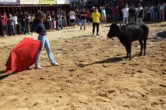 DSC_0244-Mediana