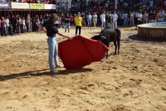 DSC_0245-Mediana