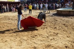 DSC_0246-Mediana