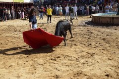 DSC_0247-Mediana