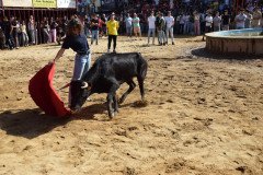 DSC_0248-Mediana