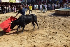 DSC_0249-Mediana