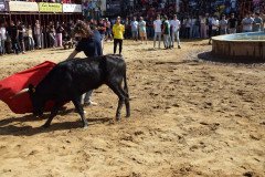 DSC_0250-Mediana