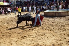 DSC_0253-Mediana