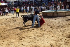 DSC_0254-Mediana