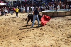 DSC_0255-Mediana
