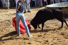 DSC_0257-Mediana