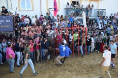 DSC_0276-Mediana