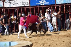 DSC_0278-Mediana