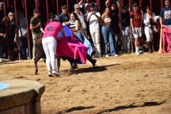 DSC_0279-Mediana