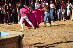 DSC_0281-Mediana