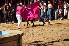 DSC_0282-Mediana