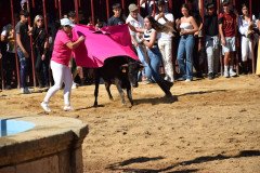 DSC_0283-Mediana