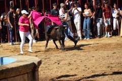 DSC_0284-Mediana