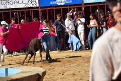DSC_0286-Mediana