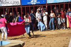DSC_0287-Mediana