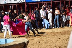DSC_0288-Mediana