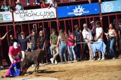 DSC_0290-Mediana