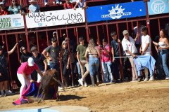 DSC_0291-Mediana