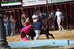 DSC_0299-Mediana