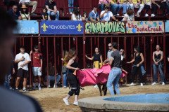 DSC_0300-Mediana