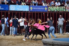 DSC_0301-Mediana