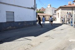 DSC_0302-Mediana