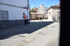 DSC_0304-Mediana