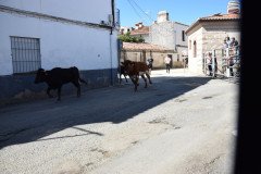 DSC_0306-Mediana