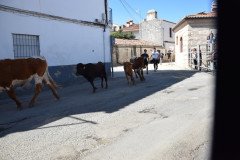 DSC_0307-Mediana