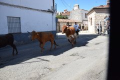 DSC_0308-Mediana