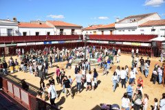DSC_0309-Mediana