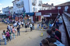 DSC_0311-Mediana