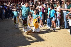 DSC_0318-Mediana