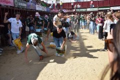 DSC_0339-Mediana
