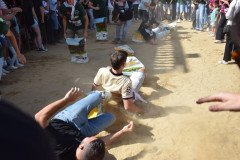 DSC_0341-Mediana