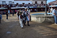 DSC_0399-Mediana
