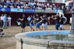 DSC_0403-Mediana