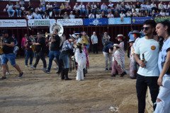 DSC_0404-Mediana